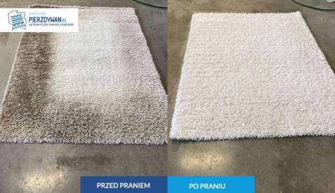 Pralnia dywanów Wrocław