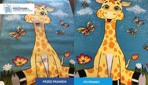 Pralnia dywanów Wrocław