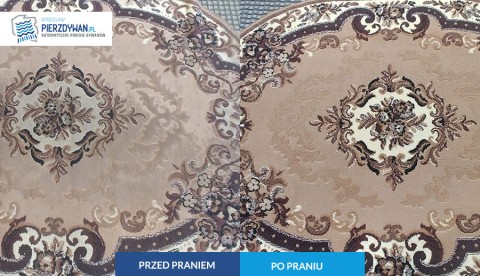 Pralnia dywanów Wrocław
