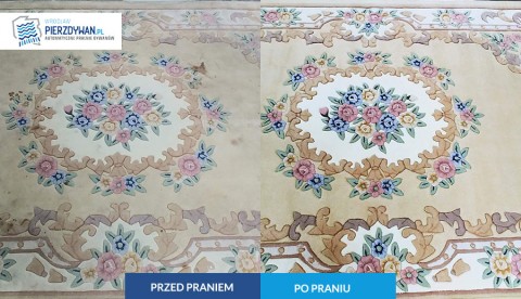 Pralnia dywanów Wrocław